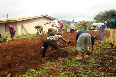 Volunteering - Orphanage Mbankomo 