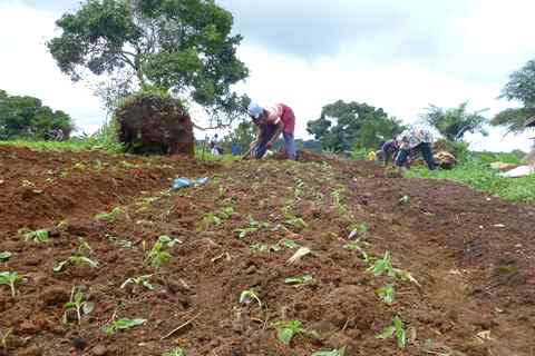  Volunteering - Mbankomo Orphanage 