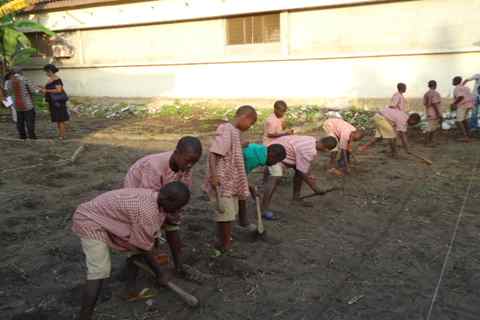 Niños sembrando Moringa para su orfanato