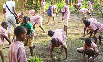 Niños plantando Moringa en el Orfanato, cerca de Abidjan